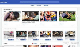 大黄网站视频,精彩瞬间回顾