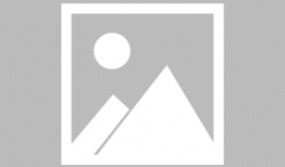 骆驼交配视频,自然繁衍的震撼瞬间