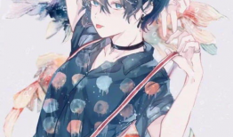 男男纯肉动漫,探索男男纯肉动漫的激情世界